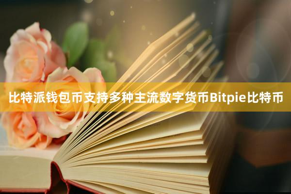 比特派钱包币支持多种主流数字货币Bitpie比特币