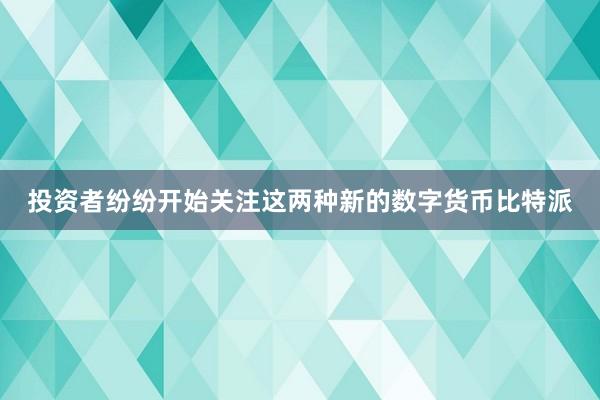 投资者纷纷开始关注这两种新的数字货币比特派