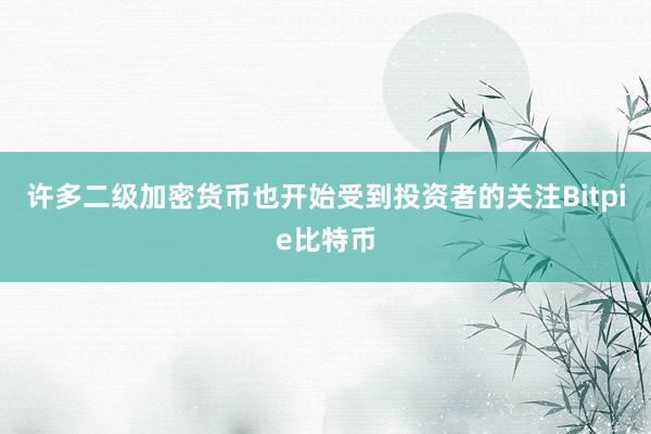 许多二级加密货币也开始受到投资者的关注Bitpie比特币