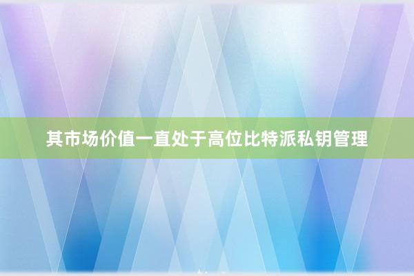 其市场价值一直处于高位比特派私钥管理