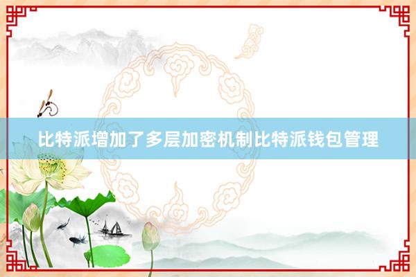 比特派增加了多层加密机制比特派钱包管理