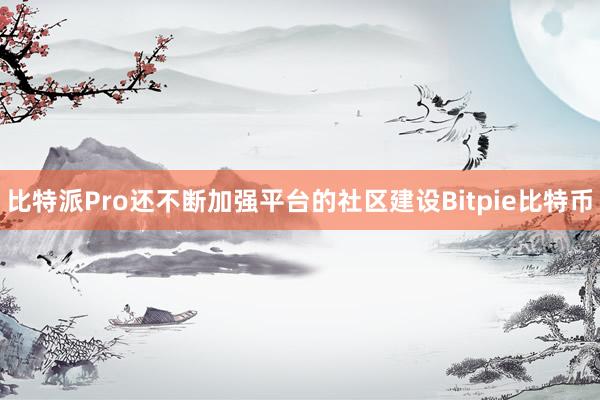 比特派Pro还不断加强平台的社区建设Bitpie比特币