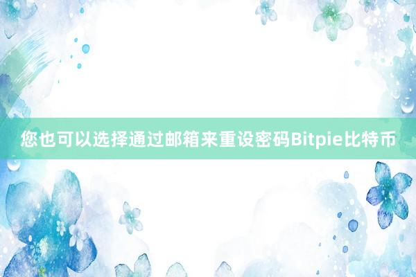 您也可以选择通过邮箱来重设密码Bitpie比特币