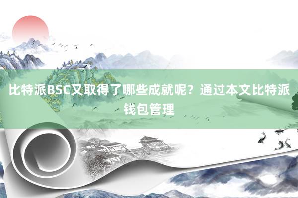 比特派BSC又取得了哪些成就呢？通过本文比特派钱包管理