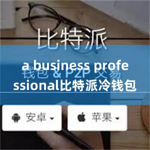 a business professional比特派冷钱包