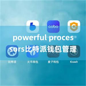 powerful processors比特派钱包管理